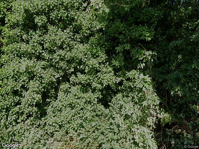 Silver Birches, Ladytown